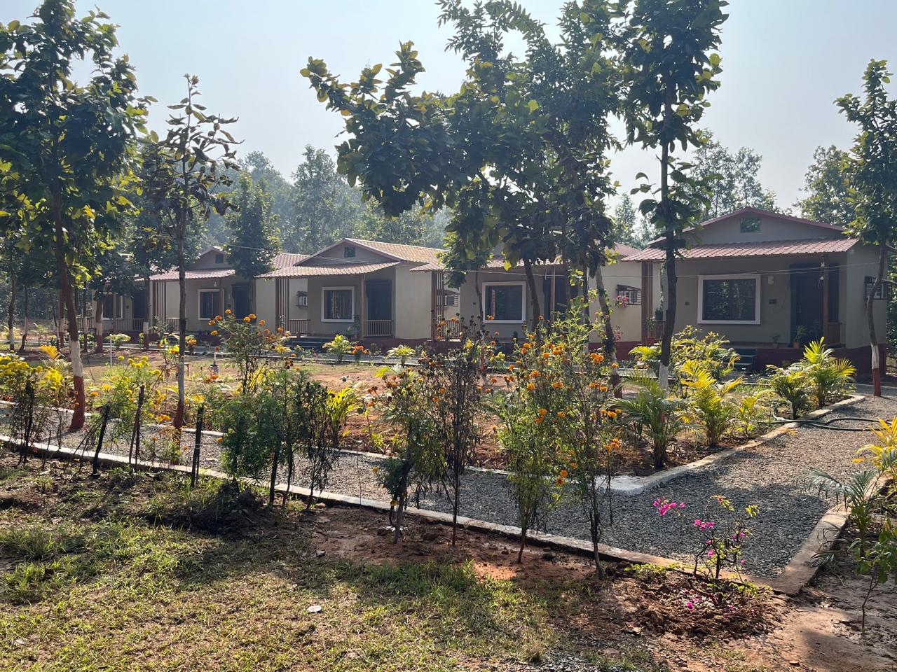 Luxury resort pool with palm trees at sunset